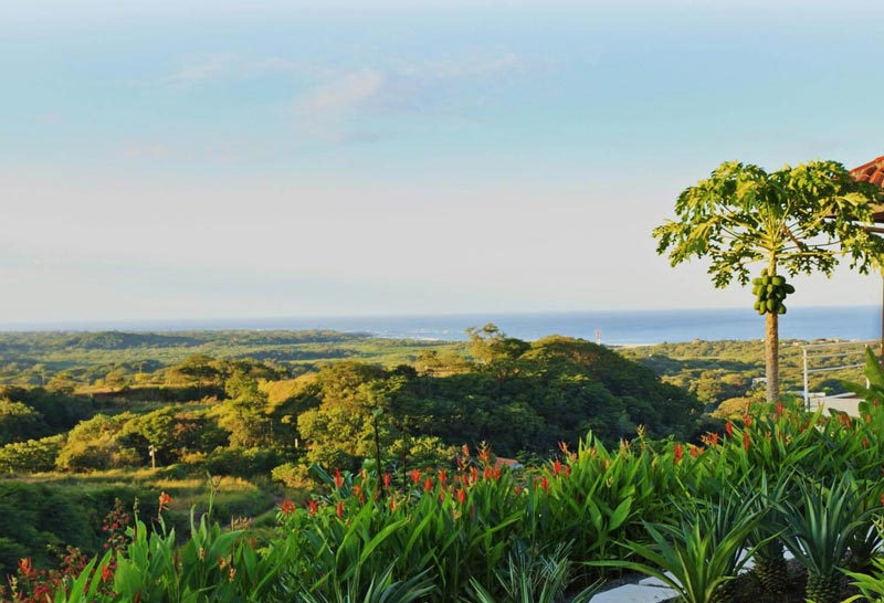 New Year?s Day Around the World: 6 Costa Rican New Year's Traditions - Stay  in Tamarindo